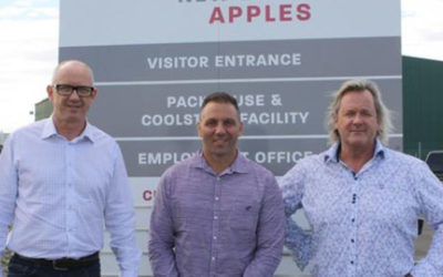 Turners & Growers Announces The Acquisition Of Apollo Apples Ltd