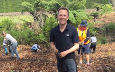 T&G dig deep and swaps vegies for native tree plantings