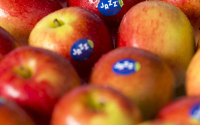 Japan prepares to enjoy an apple a day with new JAZZ™ Apple Anniversary
