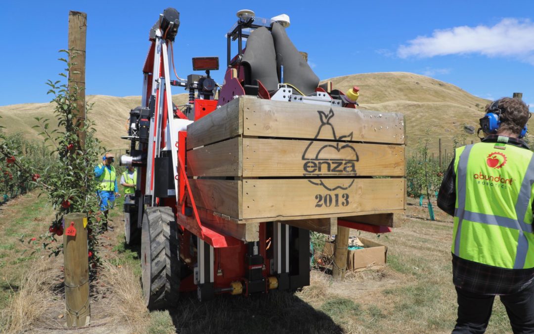 World’s first commercial robotic apple harvest at T&G’s Hawkes Bay orchards