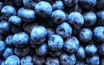 T&G Global brings US grown blueberries to Vietnam for the first time.