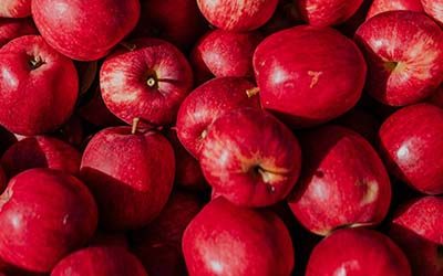 2022 New Zealand apple harvest well underway