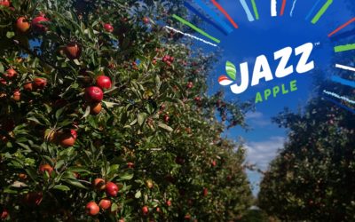 New Zealand JAZZ™ apples ready to impress global markets