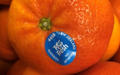 New mandarin variety arrives for T&G Fresh