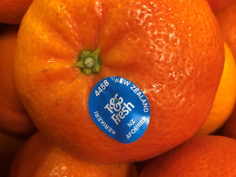 New mandarin variety arrives for T&G Fresh