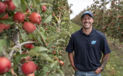 T&G celebrates strong start to 2025 JAZZ™ apple harvest