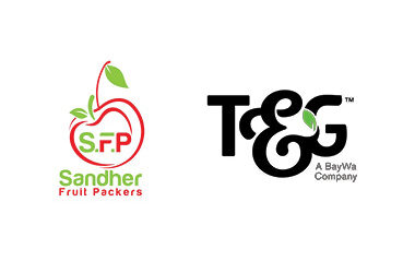 T&G Global and Sandher form strategic relationship to lead North American cherry exports