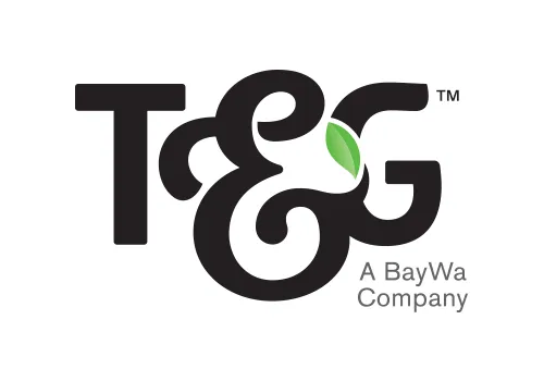 T&G Global builds strong foundations for future growth